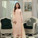 Arooshy Royal Beige Suit