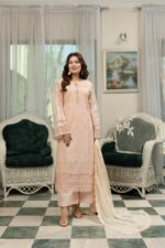 Arooshy Royal Beige Suit