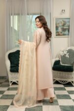 Arooshy Royal Beige Suit - Image 2