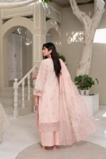 Eshaal Nude Elegance Suit - Image 2