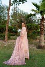 Rozeena - Samiyah Occasional Wear Lawn - Image 3