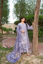 Alina - Samiyah Occasional Wear Lawn