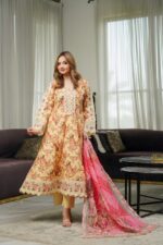 Wani Collection Long Froks by Munira Designer 1