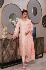 Ayesha – Elegant Heritage