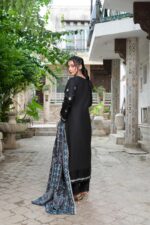 Shab e Noor – Noor Elegance - Image 2