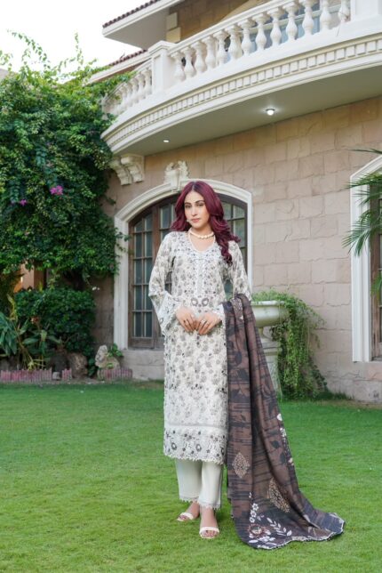 Aneela Modern Muse Dhanak Suit