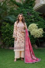 Aneela Signature Charm Dhanak Suit