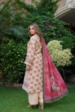 Aneela Signature Charm Dhanak Suit - Image 2