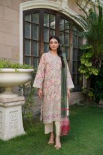 Aneela Timeless Beauty Dhanak Suit