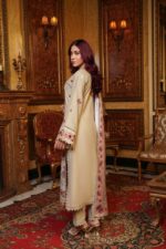 Side view of beige Dhanak suit with lace trim and printed wool shawl