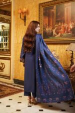 Back view of navy blue embroidered dhanak suit with printed wool shawl, Mahi Vol 18